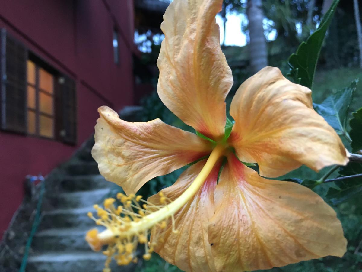 Pousada Casa De Maua Visconde de Mauá Exteriér fotografie